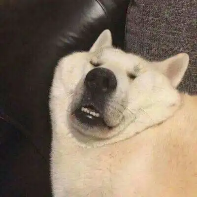 沙雕到没朋友的搞笑短句
