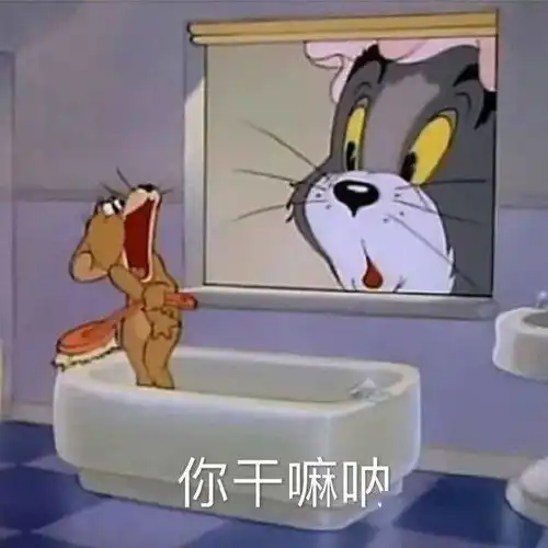 沙雕猫和老鼠表情包
