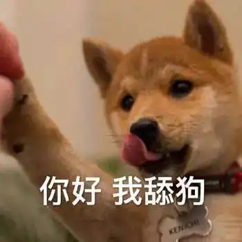 今日份gif舔狗表情包我心爱的狗东西在吗
