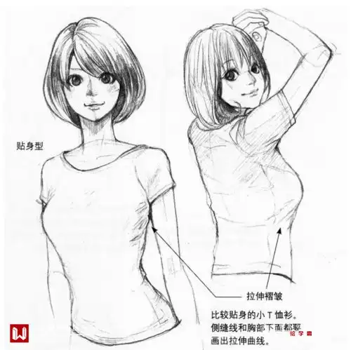 动漫女生胸部怎么画动漫女生怎么画的性感
