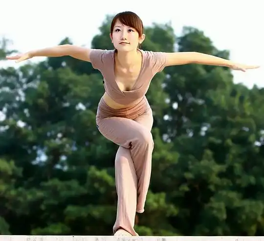 瑜伽之光经典瑜伽练习
