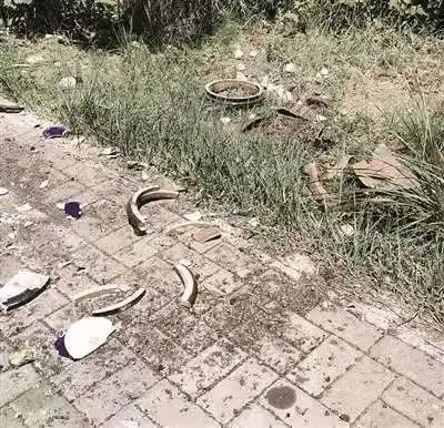 速看大同一人因高空抛物被刑拘...
