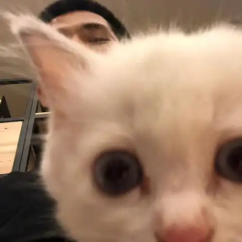 头像有个很可爱的人正在看我发的图
