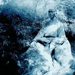 单色调红外摄影片
