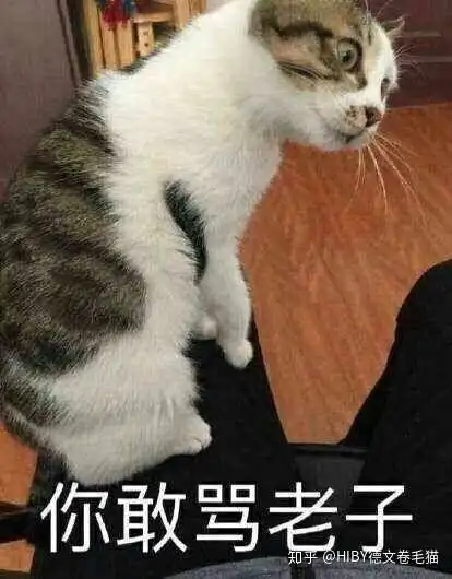 猫应不应该跟主人睡床上
