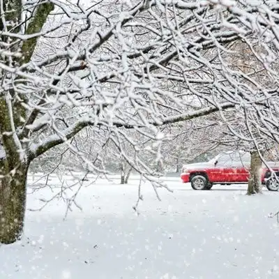 雪景头像纯净的白色寒冷却美好
