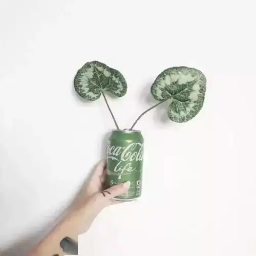 背景图个性朋友圈背景图朋友圈很潮很拽的个性句子
