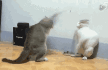 那些毁三观的前任,你遇到过几个
