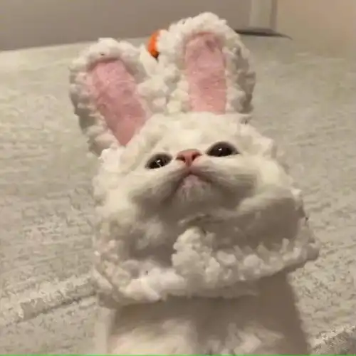 超nice的微信头像来咯
