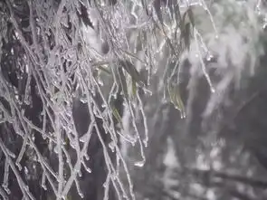 冰雕玉钕,琼枝玉树富阳这些地方美成了仙境
