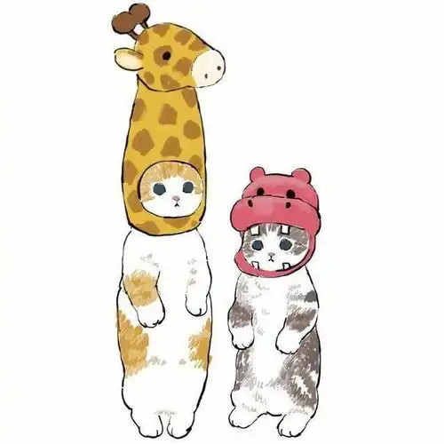 超可爱的胖乎乎猫咪来啦

