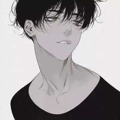 动漫男生头像要把所有的夜归还给星河,把所有的春光归还给疏疏篱落
