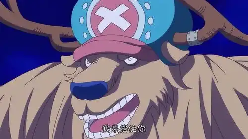 海贼王乔巴变身大驯鹿能阻挡大妈的拿破仑攻击吗
