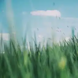 芳草纷飞的日子夏天胶片摄影治愈系风格堆糖,美好生活研究所
