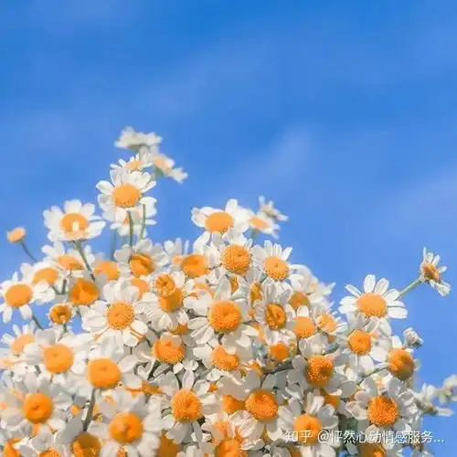 旅行真的能看出两个人是否合适吗
