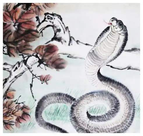 此3生肖女和钱财有缘,聚财有道,和她结婚越久,财运就越旺
