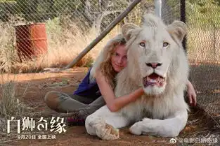 国庆档前最后一周,留给这些小片的时间不多了新片三句拌13
