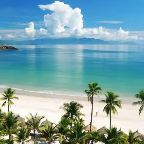 群星兔子舞xiaovtalkbox高音质在线试听群星兔子舞歌词歌曲下载酷狗音乐
