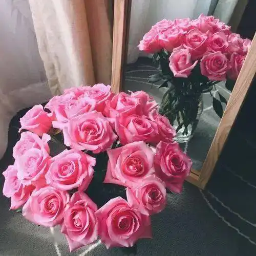 苏醒玫瑰唤醒你沉睡的少女心
