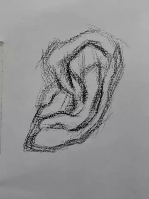 素描头像耳朵步骤详解
