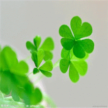 3d2016079期鬼六神算
