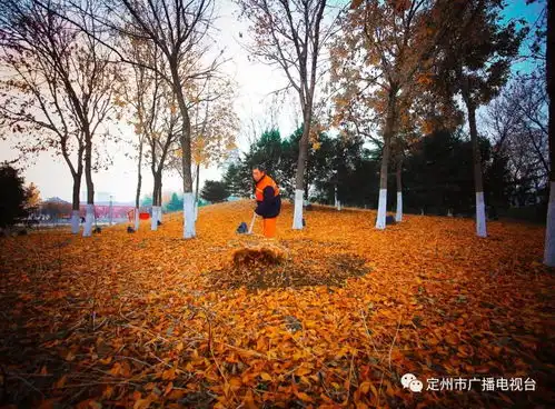美丽定州我身边的环卫工
