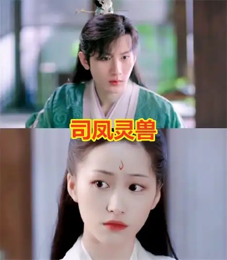 剧中角色的灵兽,彩凤鸟机灵,糖宝惹人爱,看到他成为颜粉成毅
