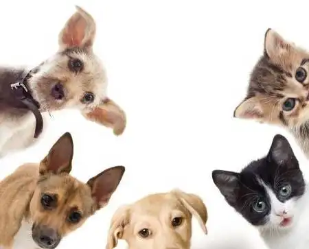 开心一刻昨天一个迟到的学生,进学校看见老师哇的一声哭了
