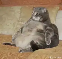 最让人悲愤的事是,有人说某人跟端午越长越像可以说是两败俱伤
