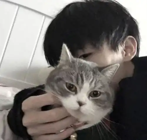 omg头像玄学,是谁的前男友又中招了
