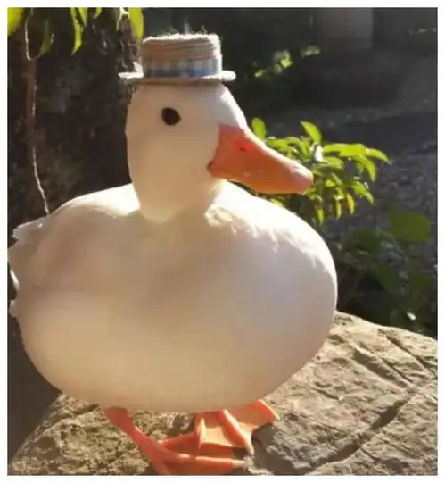 搞笑gif开心一刻如何让吵架后冷战的女友先说话
