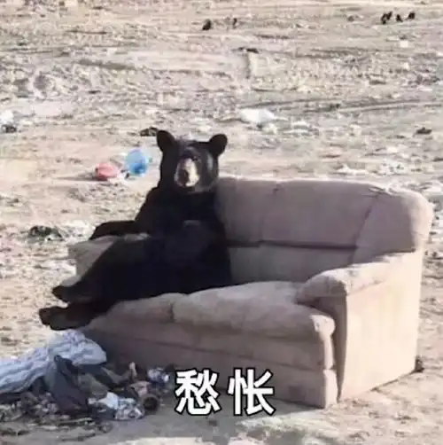 处理一个乱说话的老师,并解决不了三六九等的现实
