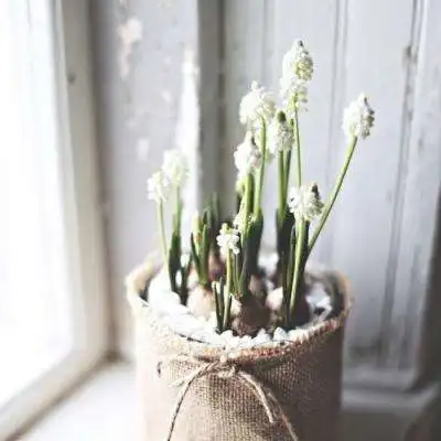 bob足球竞猜官网
