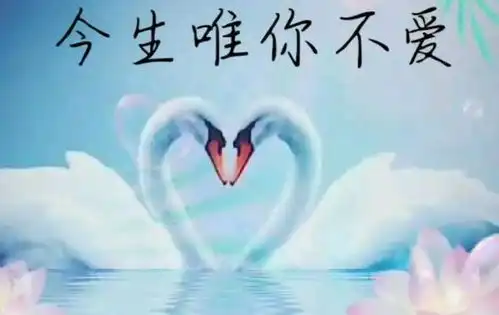 爱你天长地久,想你望穿秋水爱着想着,你是心里永远的最爱
