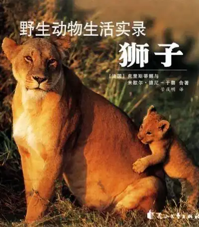 狮子野生动物生活实录
