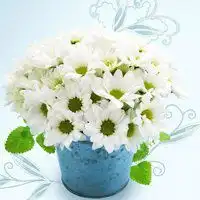 好看的微信头像图片大全瓶子里插花
