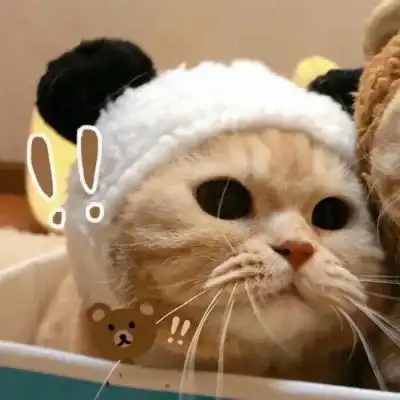 池乔爬爬可爱橘色猫猫情头自加情侣头像我要个性网
