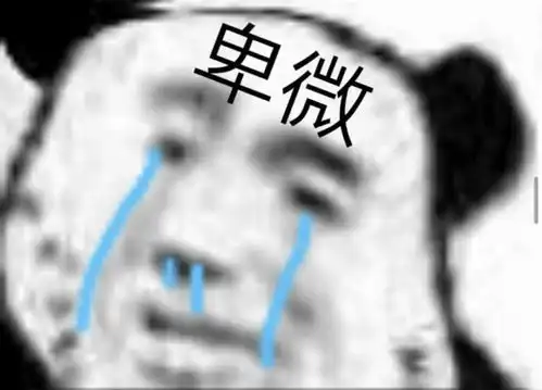 今日份的可爱表情包来啦

