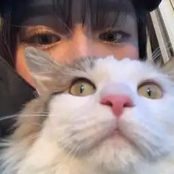 欢愉照片欢愉相册大全yy官方
