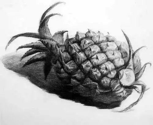 get素描静物考试常见单体果蔬界的扛把子
