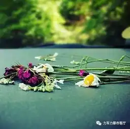 信人别信嘴,交人要交心
