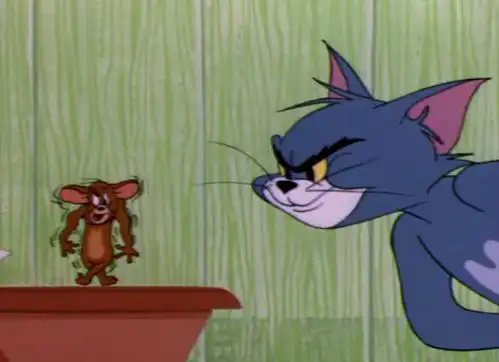 猫和老鼠汤姆赢杰瑞的剧集
