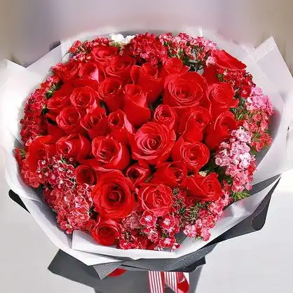 红玫瑰代表了爱,愿你岁岁如花美
