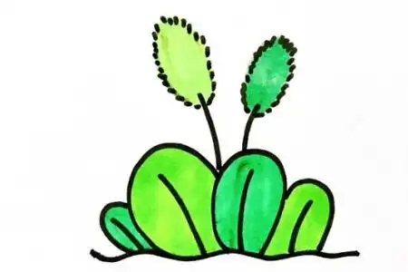 一束鲜花简笔画
