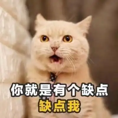 撩女朋友专用表情包来了,请注意查收,我们已经错过十余年
