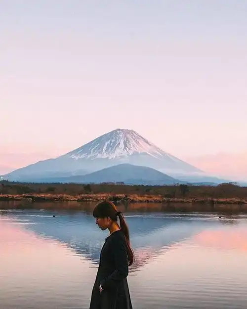 偷拍日本人的一组照片,竟成为无数人爱上这个国家的理由
