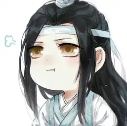 魔道祖师一个你意想不到的蓝忘机
