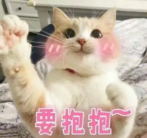 如果你见过这几种猫咪撒娇的方式,说明它很爱你
