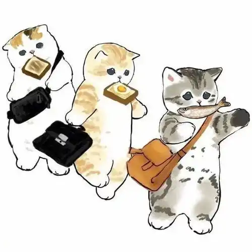 云吸猫动漫猫咪一样很治愈
