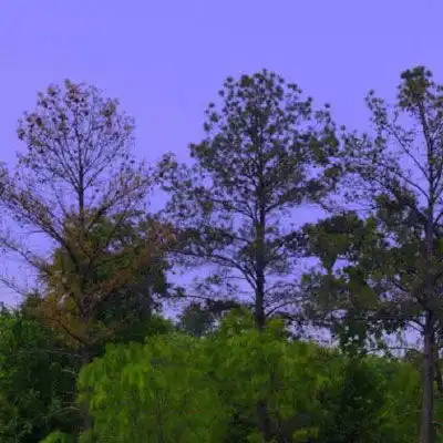 唯美风景头像意境简约山水风景头像微信专用图片
